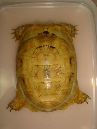 SANY0001.jpg